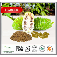 Extrait de Noni 100% naturel, extrait de fruit de Noni en poudre 4: 1 10: 1 20: 1, capsules de Noni